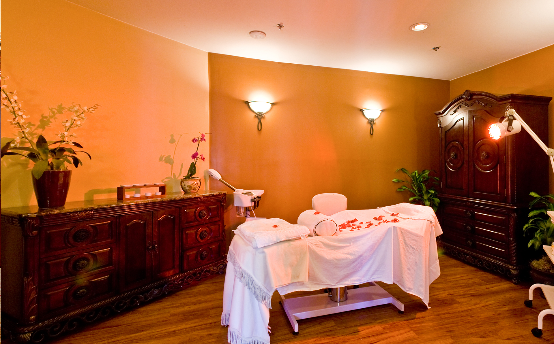 Nona Interior Designer- Decor in California